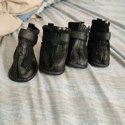 Dog Shoes Xxl