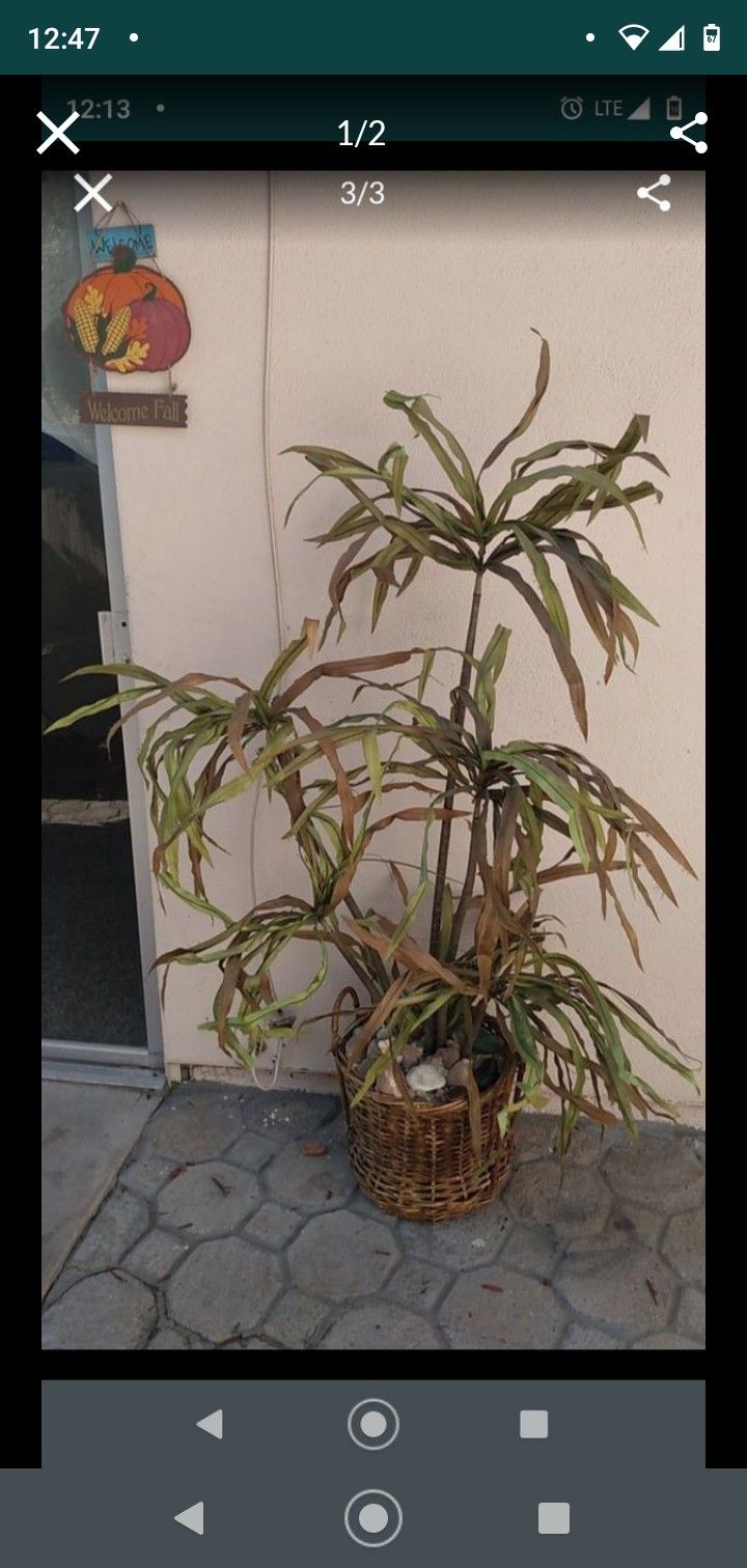 Fake plant