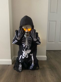 Spirit Halloween "Lil Skelly Bones" Animatronic – Great Condition! 250