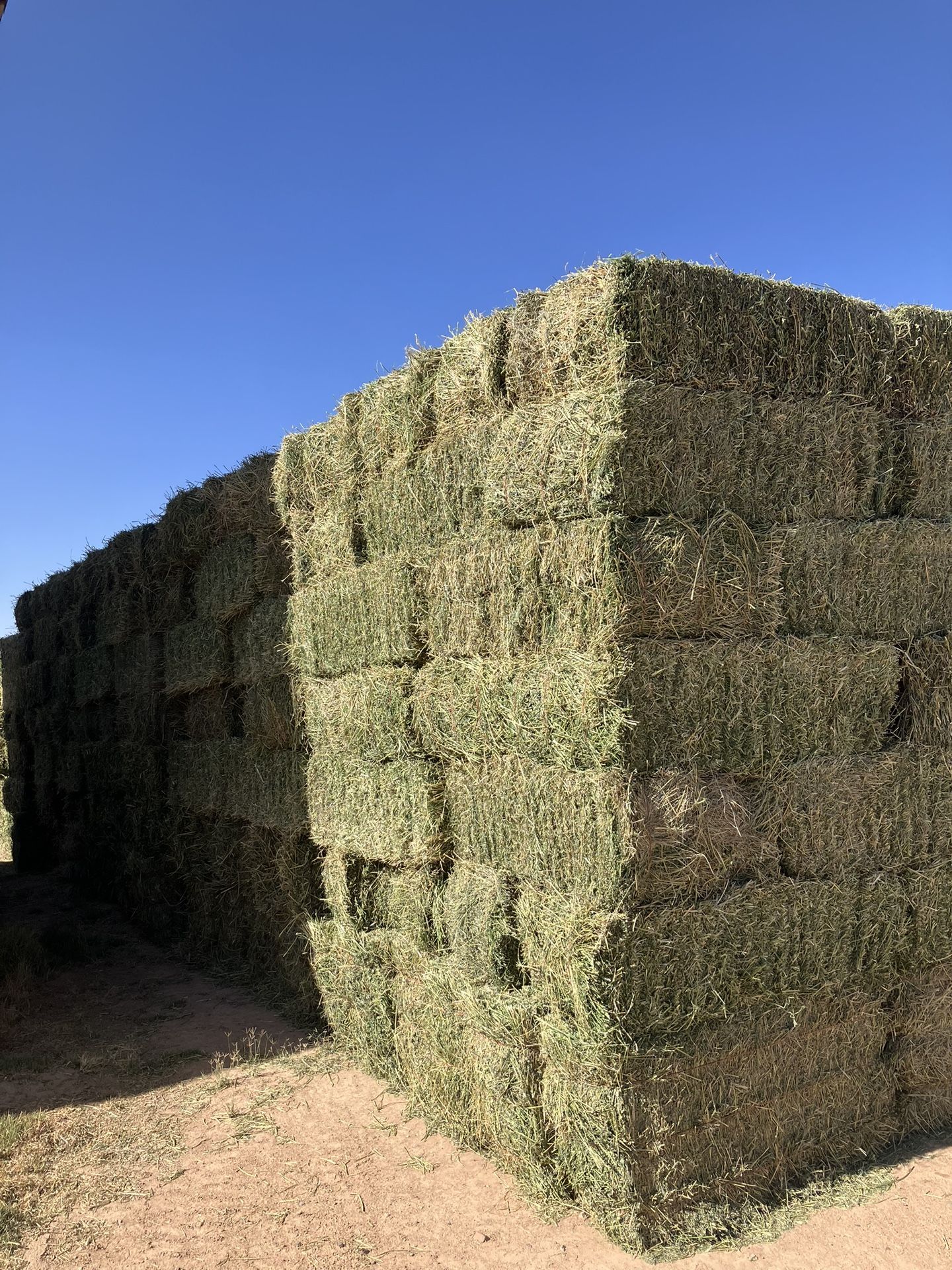 HAY- ALFALFA LOCAL FRESH
