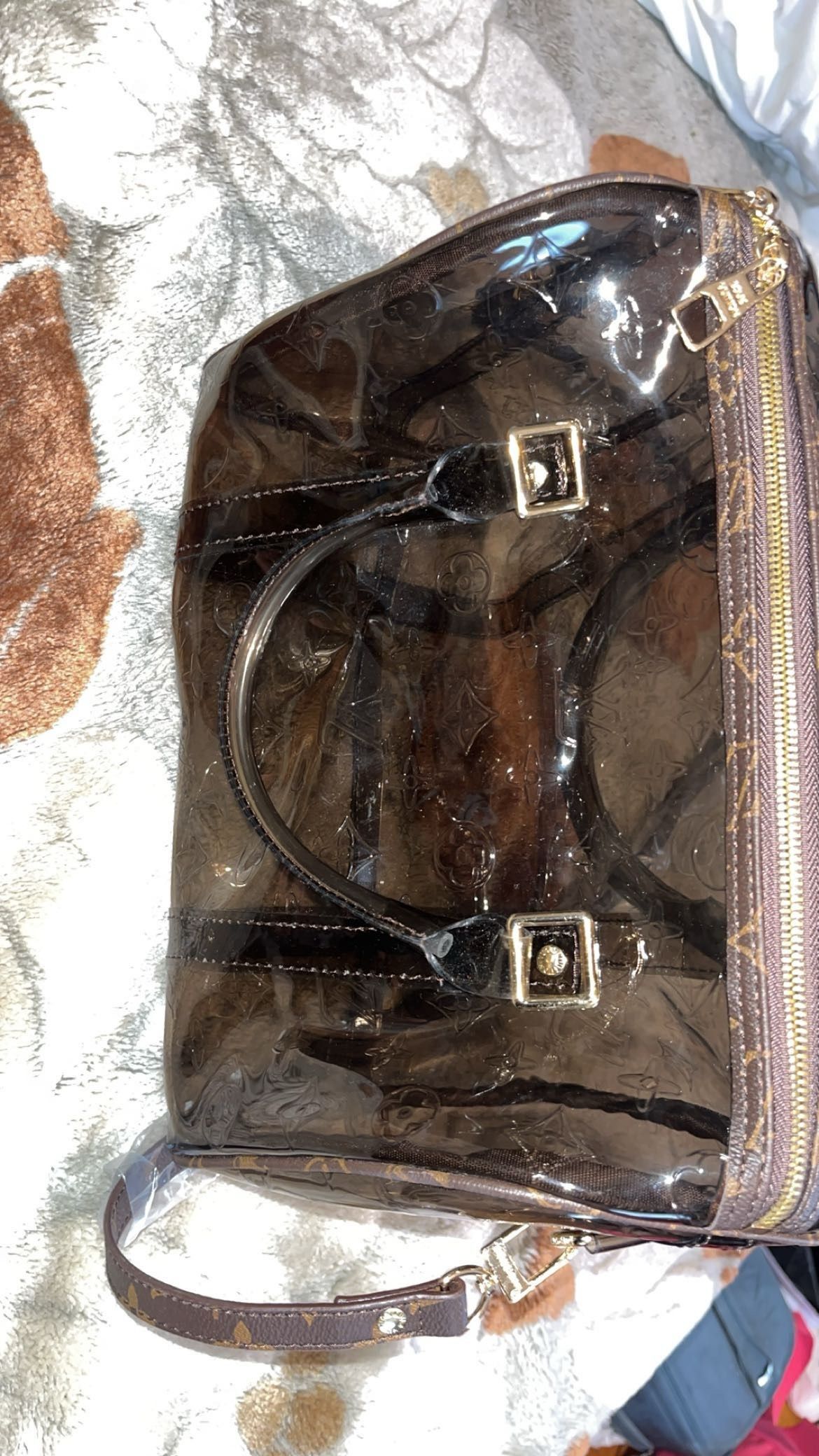 Louis Vuitton Transparent Bag 