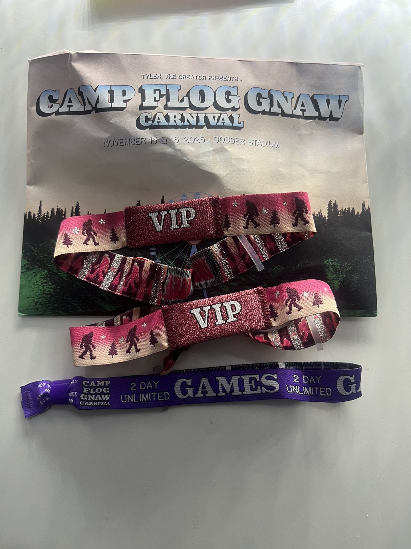 2 Camp Flognaw VIP Tickets With 1 VIP Merch Box & 1 2-Day Game Pass