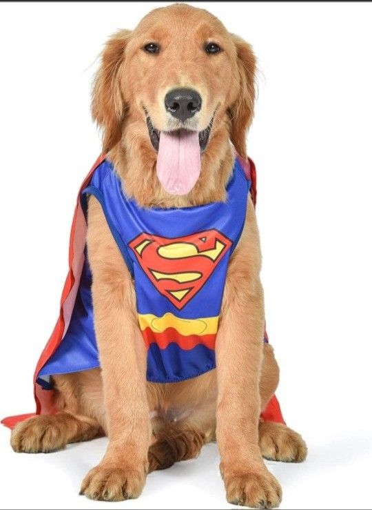 Superhero Superman Halloween Dog Costume