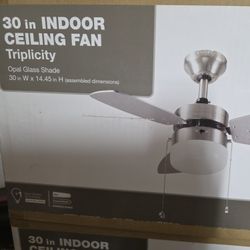 30in Ceiling Fan 
