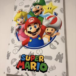 24x36 Mario Wall Art 