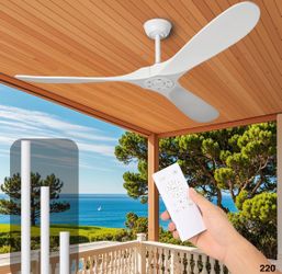 BRAND NEW 52” CEILING FAN! Retails for $199!