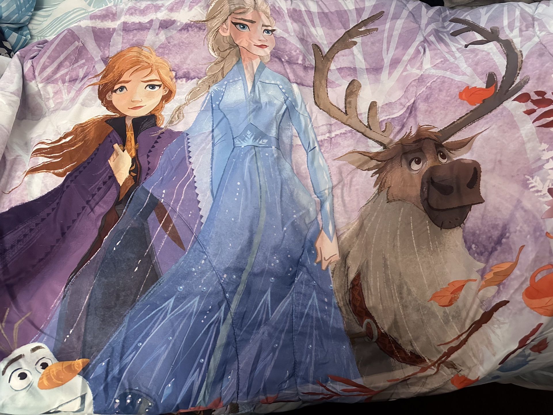 Frozen Kids Bed Set