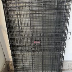 XL Kong Dog Crate