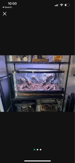 Terrarium and light