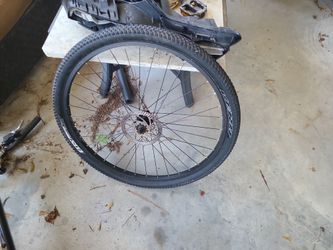 Vera Bike Wheel And Tire Ion