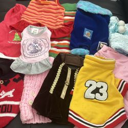 DOG CLOTHES / OUTFITS 