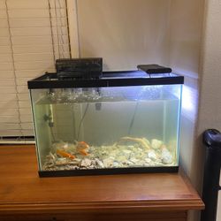 Empty Fish Tank $40