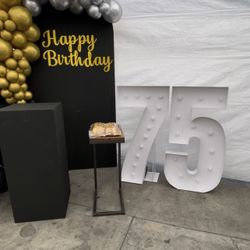 Party backdrop + Cake Table 