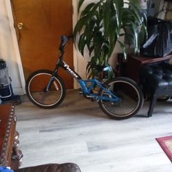 Trek Kids Bicycle 20"