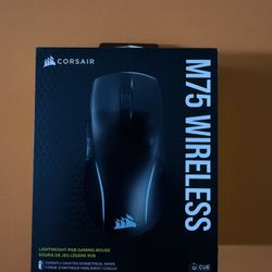 Corsair M75 Wireless Mouse