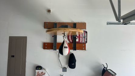 Speed Bag &frame