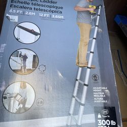 cosco telescoping ladder