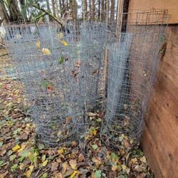 Wire Fence
