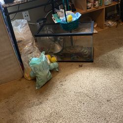 10 Gallon Fish Tank