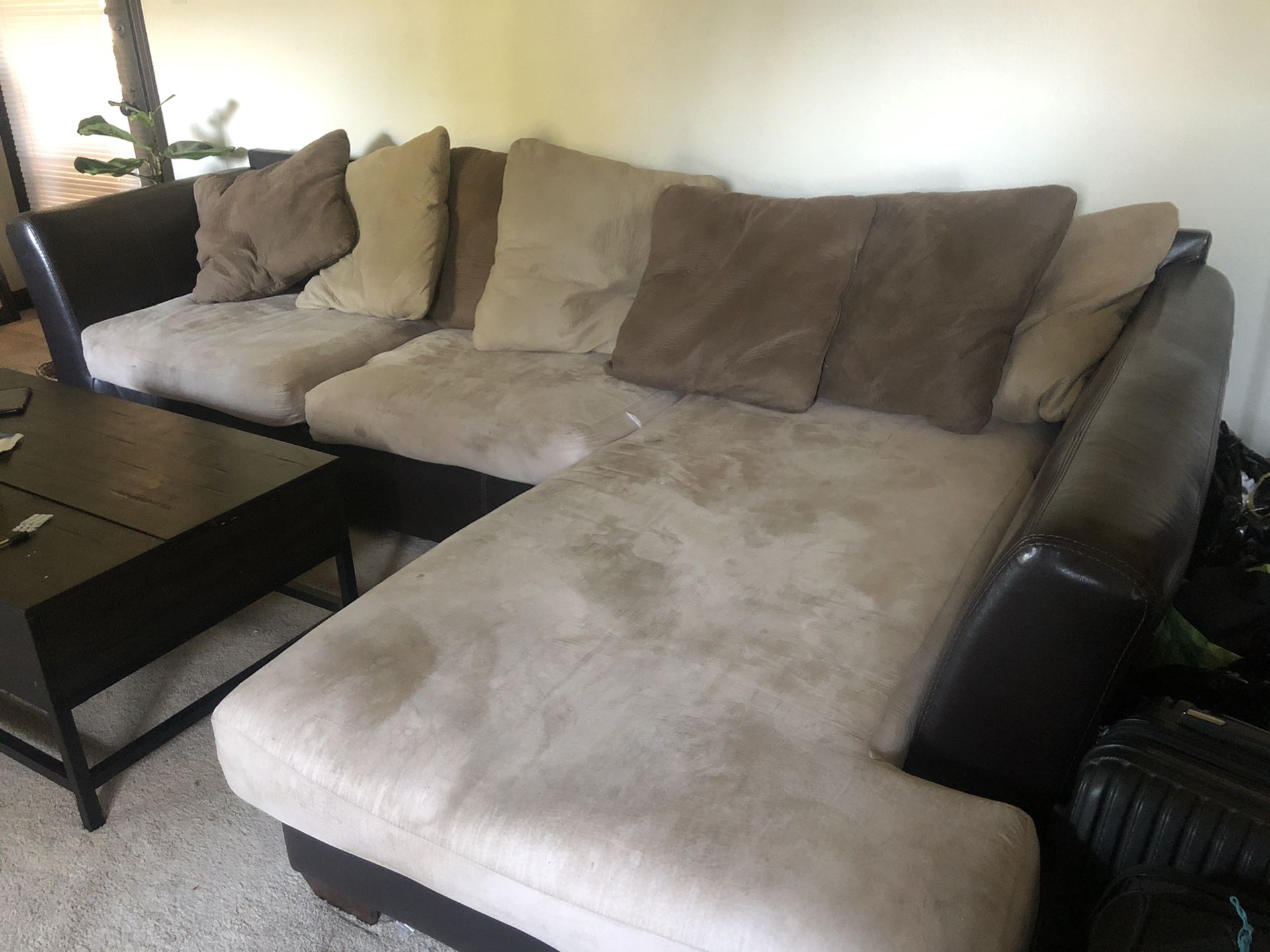 Free Couch!!!