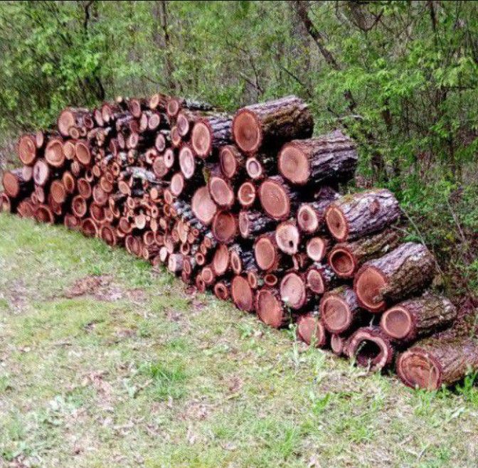 Walnut Firewood