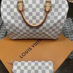 New Louis Vuitton Hand Bag & Wallet 