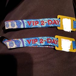 Beyond Wonderland 2024 SUNDAY ONLY VIP