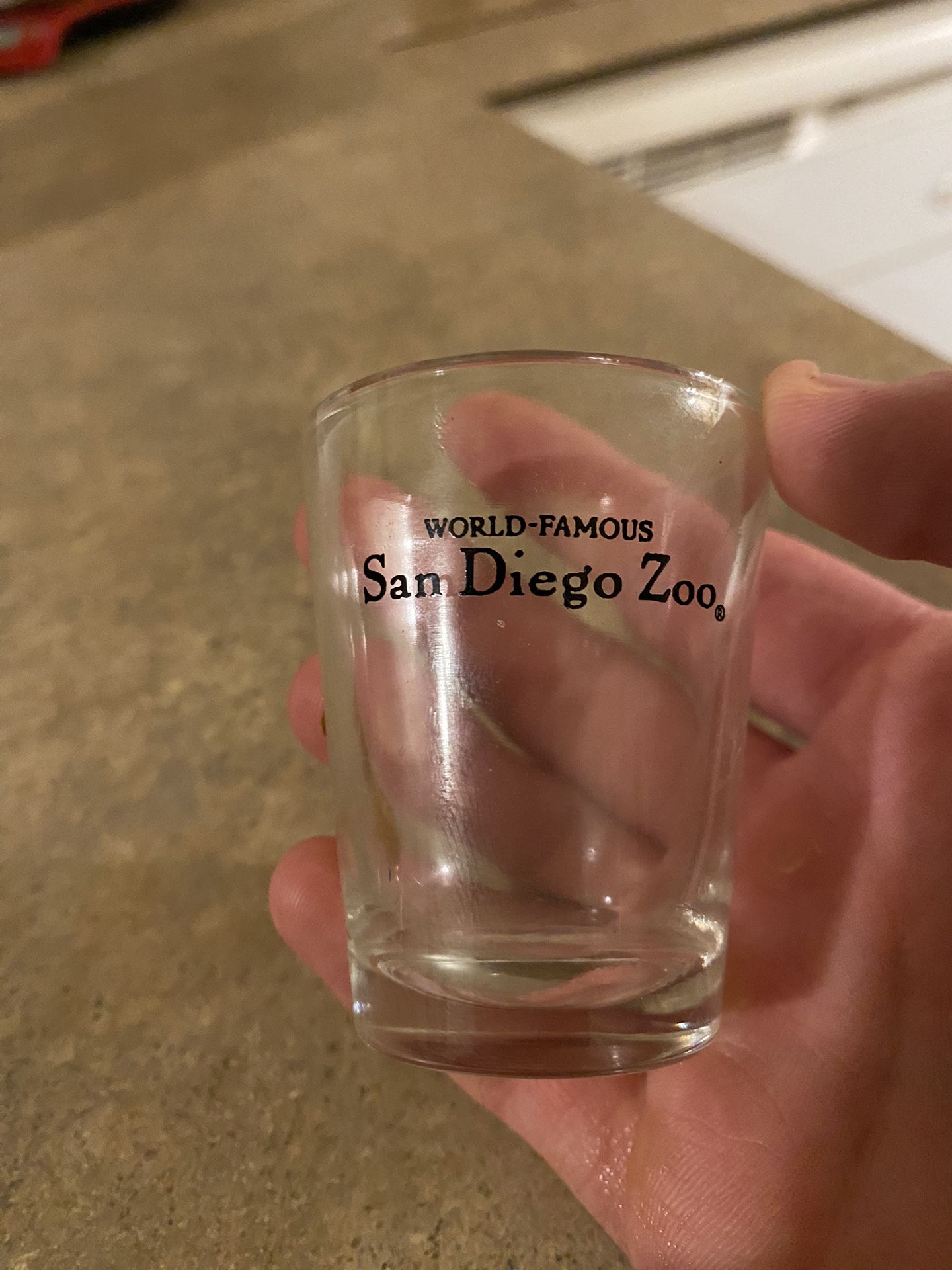 World Famous Sam Diego Zoo