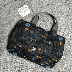 Boys/toddler Lunch Bag 