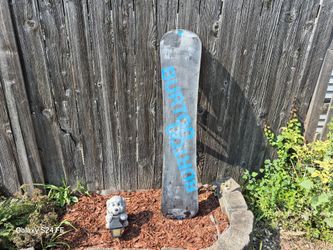 Burton Snowboard 56"
