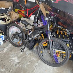 POLESITTER Electric Bike (350 Watt)