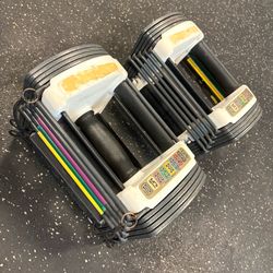 Powerblock 5-30 Pound Adjustable Dumbbells Set