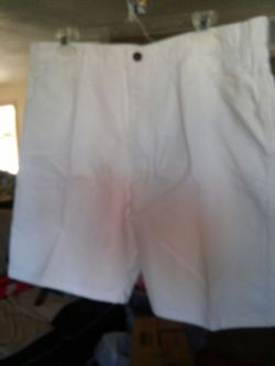 Dickies painter shorts