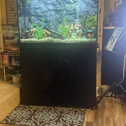 Aquarium Setup
