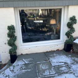 Decorative Fake Plants