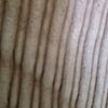 Many Listings
