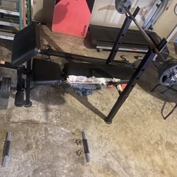 Bench, Bars, Weights And Dumbbells 