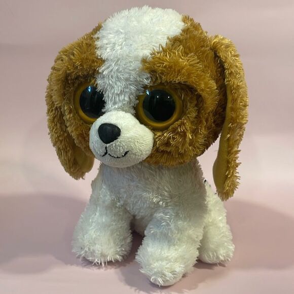 Ty Beanie Boo Buddies 10" COOKIE Beagle Plush Dog 2010 Excellent Used Condition