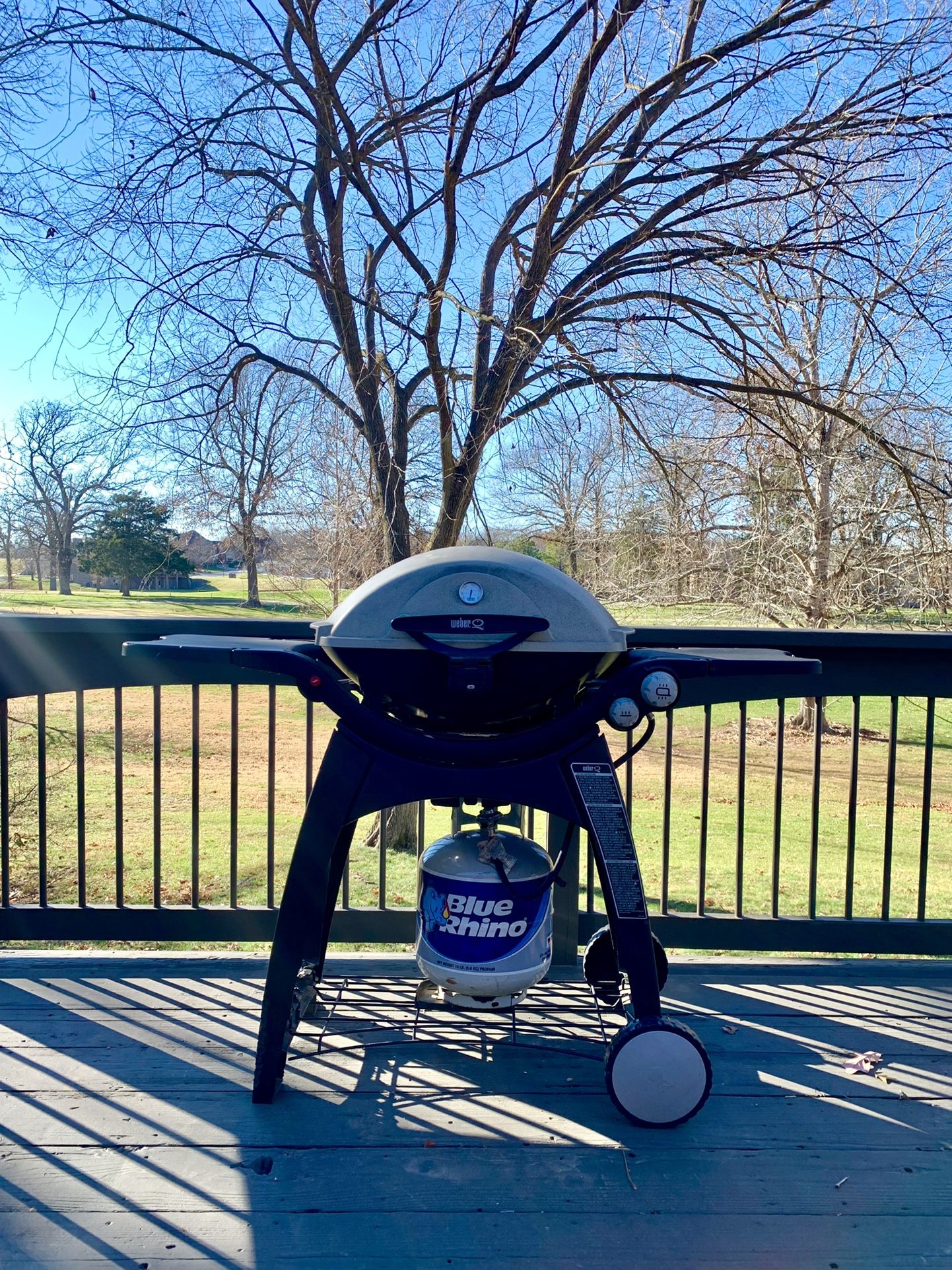 Weber Q Series With Full Propane!!