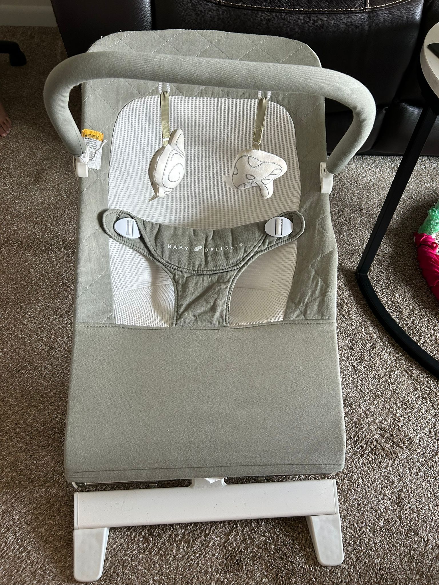 Baby Delight Rocker