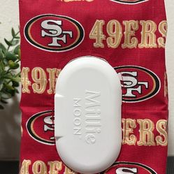 $14 Pull-Up/Diaper Pouch  - Mini Pañalera 