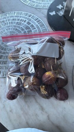 Passion fruit / maracuya