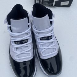 Jordan 11 Retro Concord (2011)