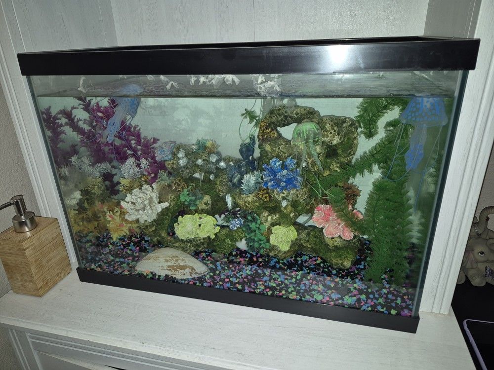 Fish Tank