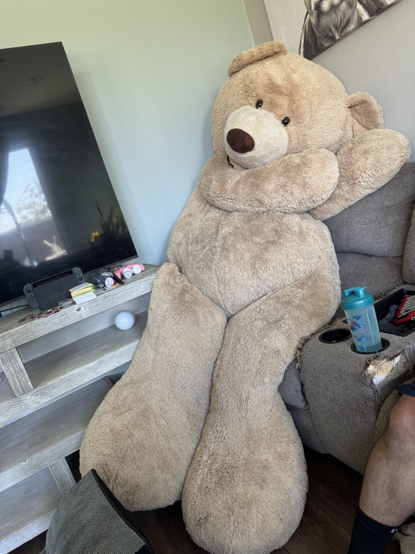 Giant Bear