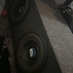 Music Bajo 