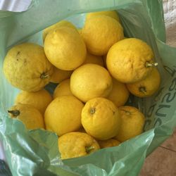 Huge Lemons 4 For $1