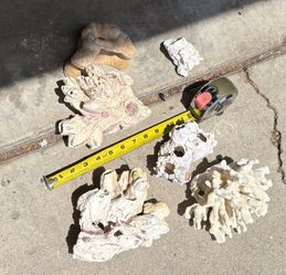 decorative fish tank- Barnacle Clusters -reef coral-seashells