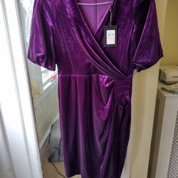 DKNY Purple Event Dress Size 2 (New/Never Worn)