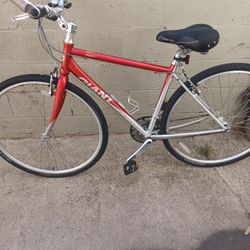 GIANT size 700 Speed24 Frame 17